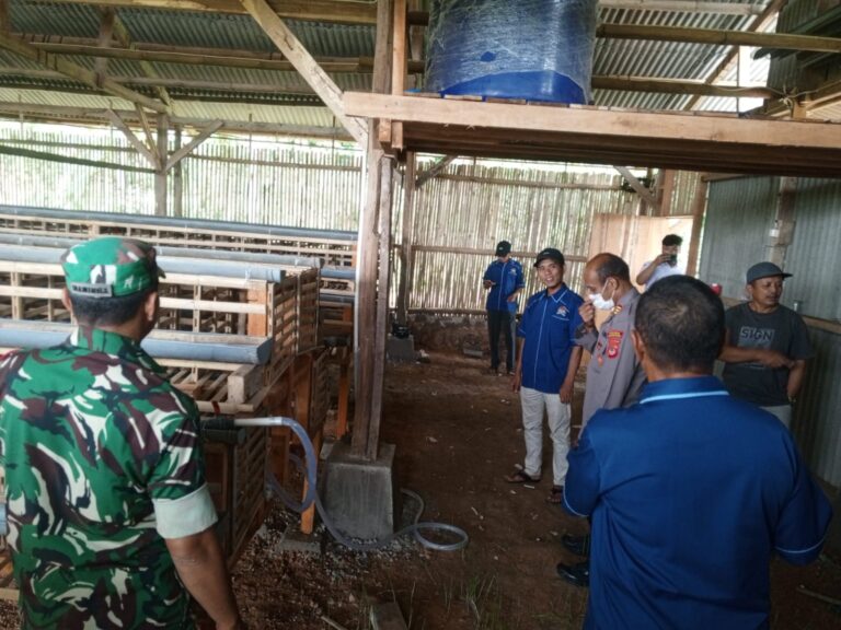 Kapolsek Ciawigebang Monitoring Peternakan Ayam Petelur di Pamulihan untuk Dukung Ketahanan Pangan dan Keamanan Lingkungan