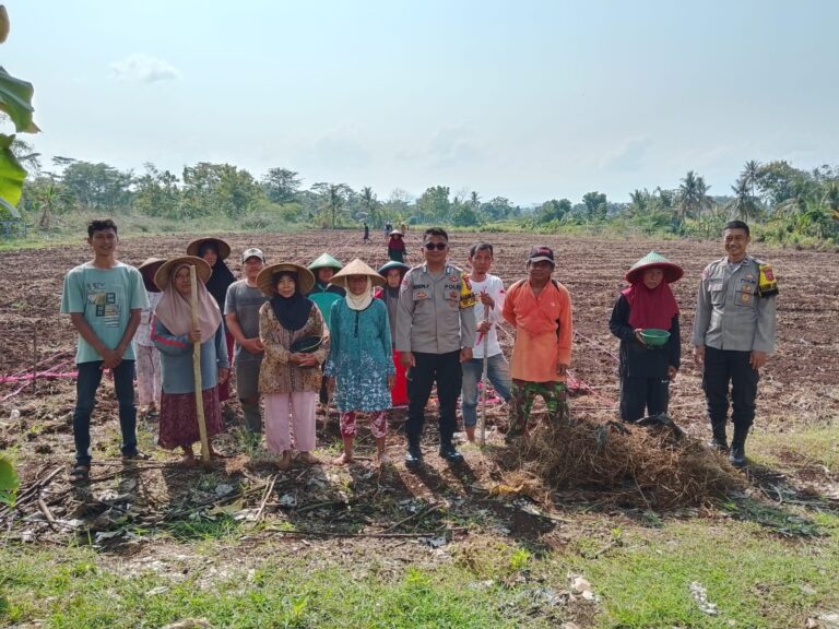 Polsek Ciawigebang Polres Kuningan Bersama Poktan Tani Sri Unggul Mekar Tanam Jagung Hibrida Dukung Ketahanan Pangan Nasional