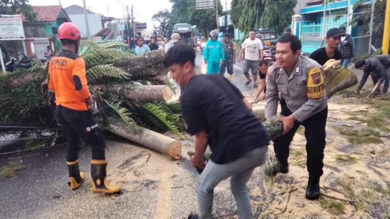 Terkendala Cuaca Buruk, Evakuasi Pohon Tumbang di Kuningan Berlangsung Hati-Hati