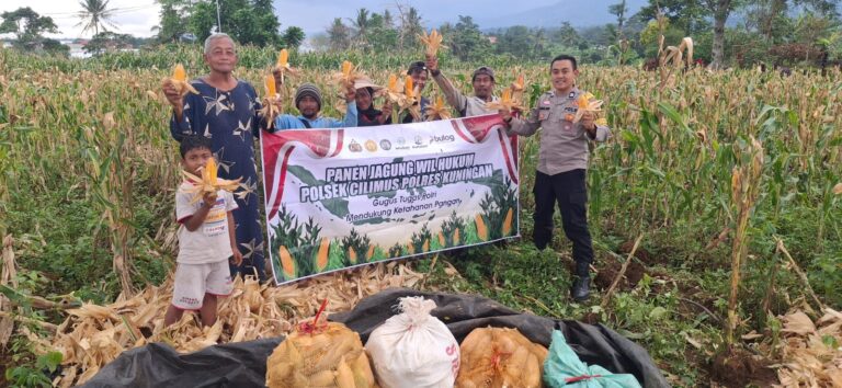 Panen Jagung Hibrida Jadi Bukti Kedekatan Polisi dengan Masyarakat Tani
