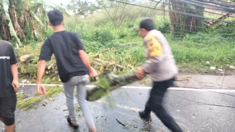 Polsek Cilimus Pastikan Keamanan Lokasi Pohon Tumbang Sebelum Evakuasi