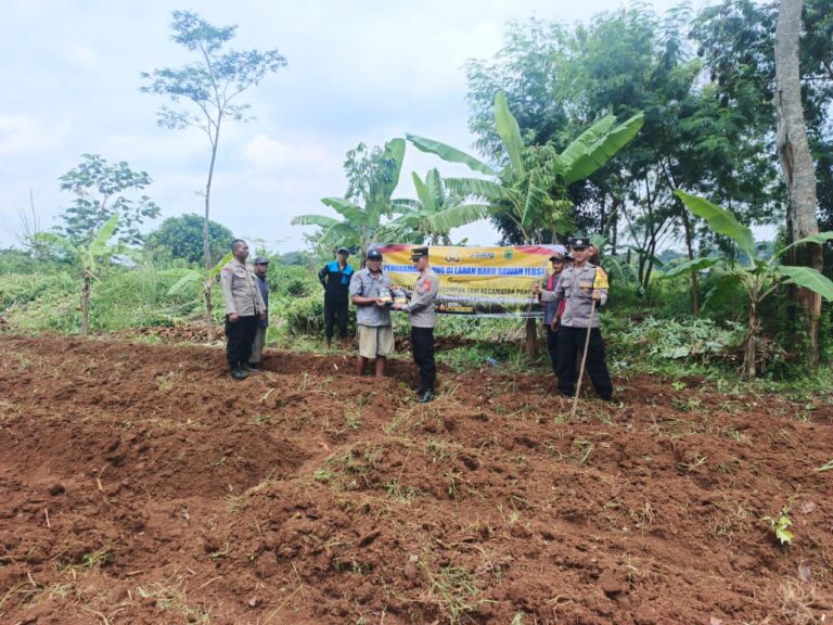 Kapolsek Pancalang Bersama Kelompok Tani Laksanakan Penanaman Bibit Jagung Hibrida sebagai Wujud Dukungan Program Ketahanan Pangan