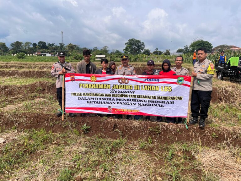 Jagung Hibrida, Semangat Baru Desa Pakembangan Berkat Sinergi Polsek Mandirancan