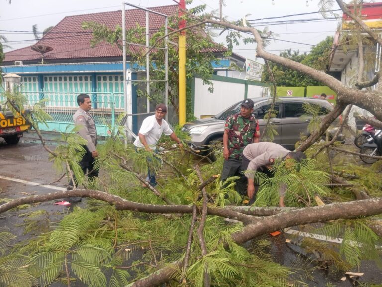 Polsek Cilimus Pastikan Keamanan Lokasi Pohon Tumbang Sebelum Evakuasi