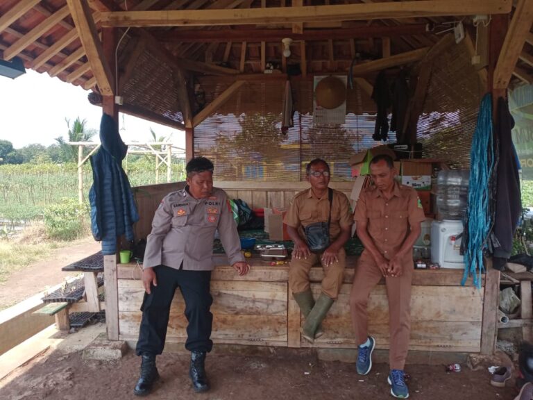 Bhabinkamtibmas Geresik Dukung Ketahanan Pangan Lewat Silaturahmi dengan PPL