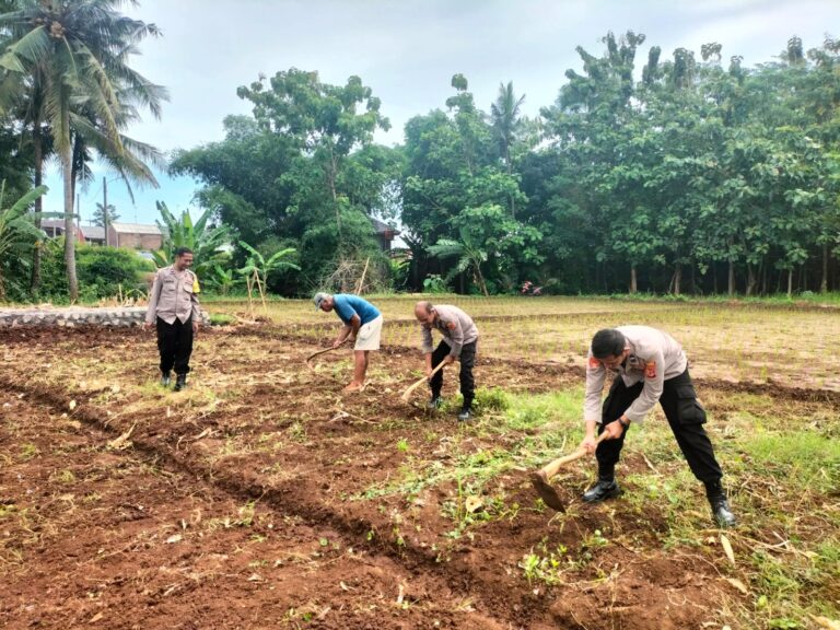 Kapolsek Ciawigebang Bersama Petani Desa Lebaksiuh Garap Lahan Kering Dukung Ketahanan Pangan