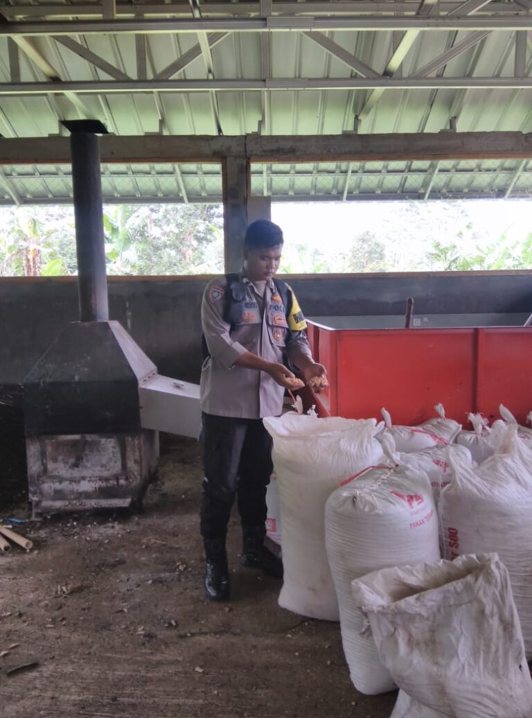 Bhabinkamtibmas Desa Cibuntu Kawal Pascapanen Jagung Hibrida, Warga Merasa Aman dan Tenang