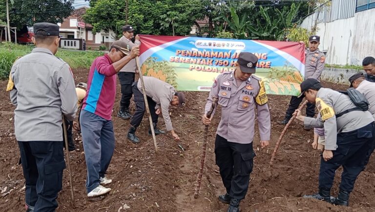 Polsek Cilimus Dampingi Penanaman Jagung Hibrida di Lahan Desa Bandorasawetan