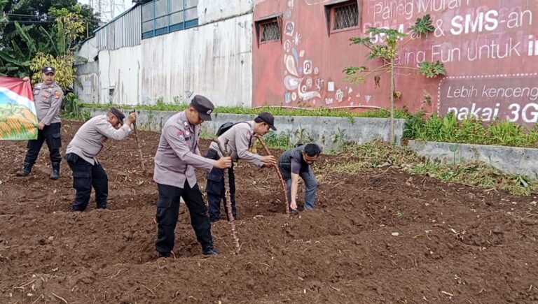 Sinergi Polsek Cilimus dan Warga Tingkatkan Produktivitas Pertanian Desa