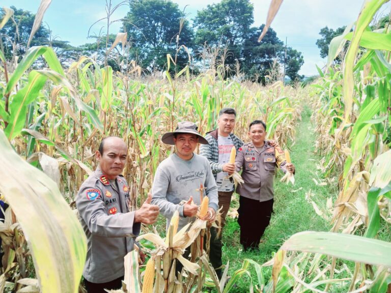 Polsek Ciawigebang: Sukseskan Program Ketahanan Pangan Nasional