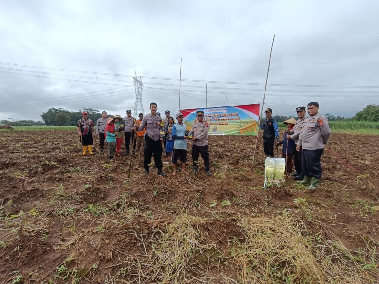 IPDA Lukman Hakim Pimpin Penanaman Jagung Hibrida Serentak di Desa Patalagan, Dukung Program Swasembada Pangan Polda Jawa Barat