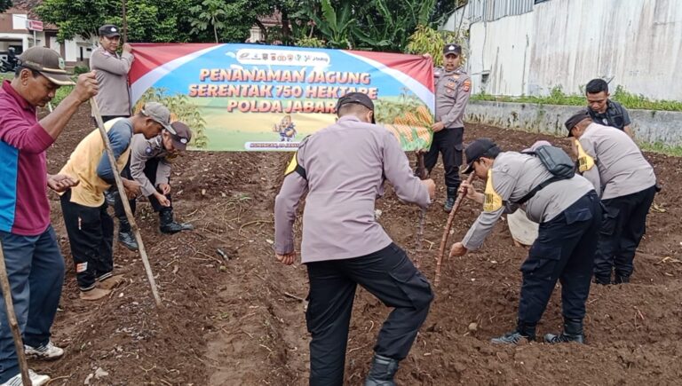Kolaborasi aparat kepolisian dan warga desa dorong produktivitas pertanian di Kecamatan Cilimus.