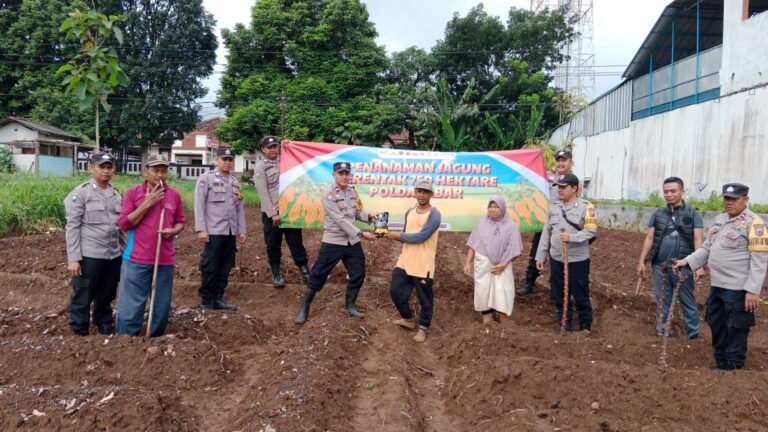 Polsek Cilimus Aktif Dampingi Program Jagung Hibrida di Desa