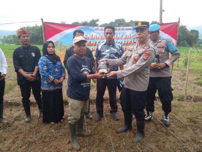 Kapolsek Ciwaru Laksanakan Tanam Jagung Serentak di Desa Baok