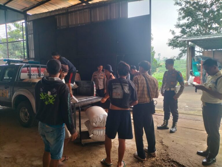 Dukung Ketahanan Pangan, Polsek Ciawigebang Fasilitasi Distribusi Jagung Hibrida Petani Lebaksiuh ke Bulog