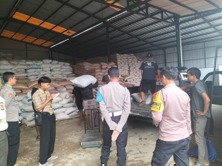 Polsek Ciawigebang Hadir Bantu Petani Desa Lebaksiuh Salurkan Jagung Hibrida