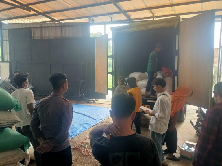 Polisi Hadir untuk Petani, Polsek Ciawigebang Kawal Hasil Panen Jagung Hibrida Petani Ciawigebang