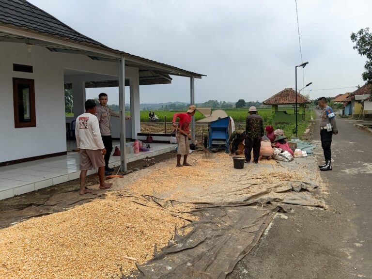 ANGGOTA POLSEK LURAGUNG EDUKASI KAMTIBMAS KEPADA PETANI JAGUNG