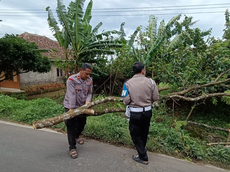 Kapolsek Pancalang Gerak Cepat Tangani Pohon Tumbang Akibat Angin Kencang di Desa Silebu, Akses Penghubung Menuju Cilimus dan Mandirancan Kembali Normal
