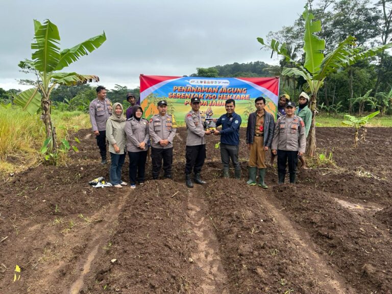 Polsek Cilimus Polres Kuningan Bersama BUMDes dan Petani Tingkatkan Produksi Jagung