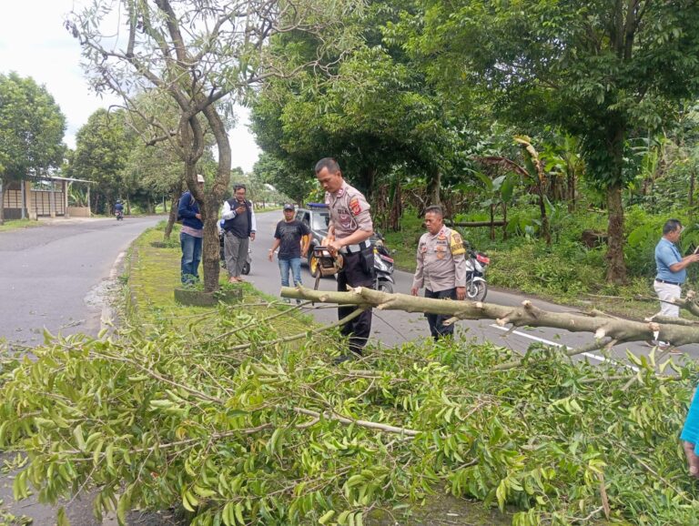 Polisi dan Warga Bersinergi Bersihkan Pohon Tumbang