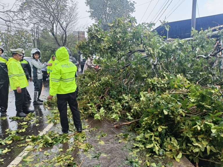 Gerak Cepat Polsek Cilimus Tangani Pohon Tumbang di Jalur Utama