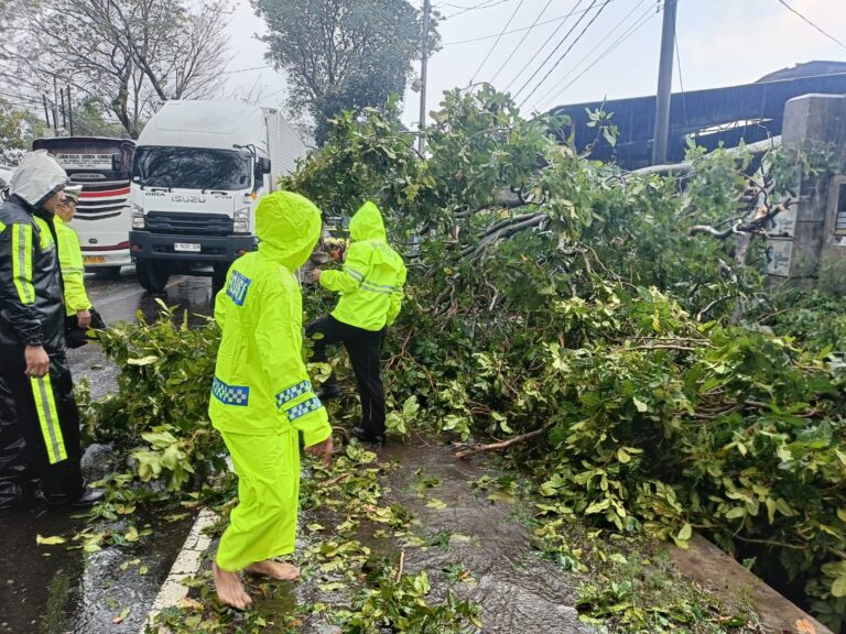 Sinergitas Aparat dan Warga Bersihkan Pohon Tumbang di Desa Sampora