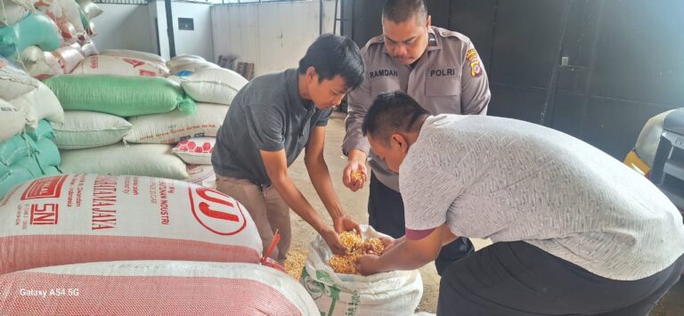 Polsek Ciwaru Dukung Program Ketahanan Pangan, Bersama Bulog Kuningan Laksanakan Penyerapan Jagung Pipil