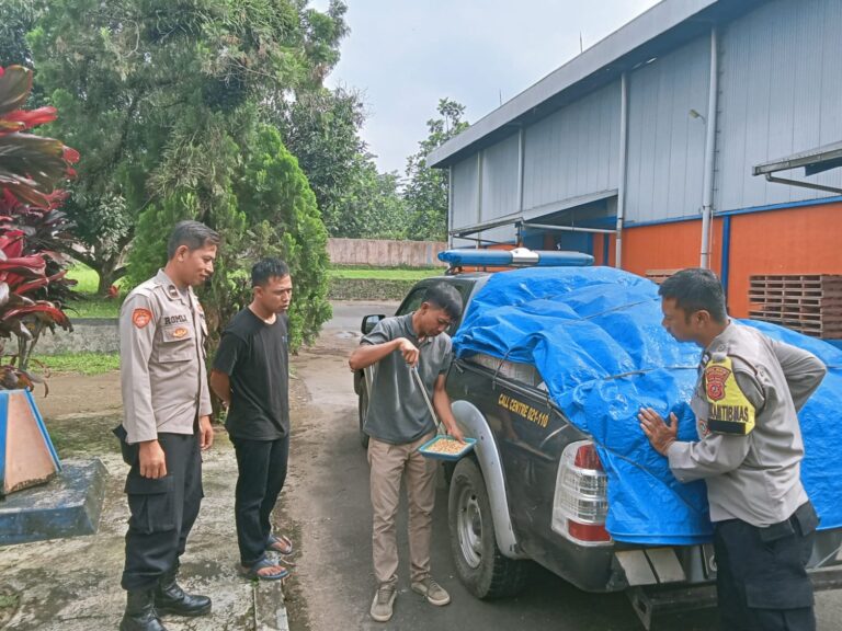 Polsek Ciawigebang Kawal Distribusi Jagung Petani Desa Geresik ke Bulog Bandorasa