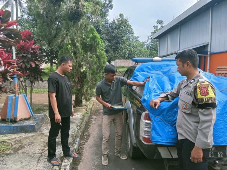 Polsek Ciawigebang Kawal Penjualan Jagung Hibrida Petani Geresik ke Bulog
