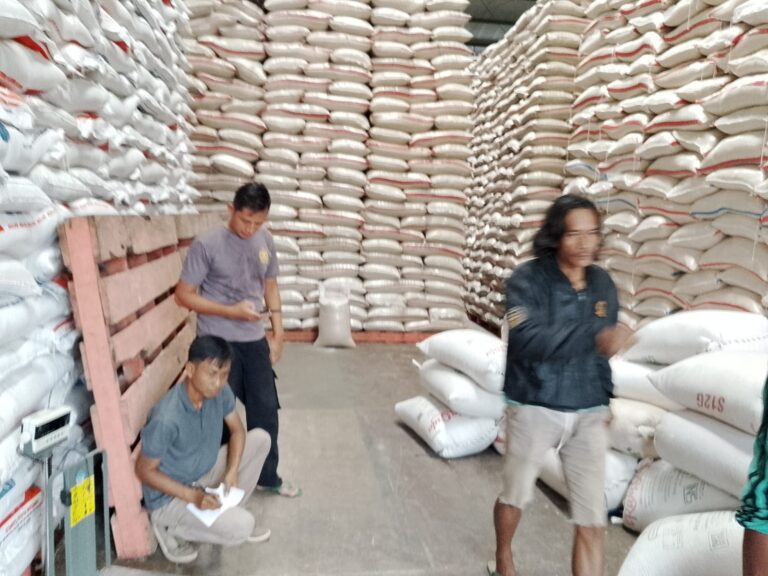 Jaga Stabilitas Pangan, Polsek Ciawigebang Kawal Distribusi Jagung Petani Desa Geresik ke Bulog