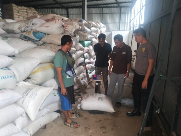 Wujud Kepedulian Polri, Polsek Ciawigebang Dampingi Petani Desa Lebaksiuh Jual Hasil Panen Jagung Hibrida ke Bulog