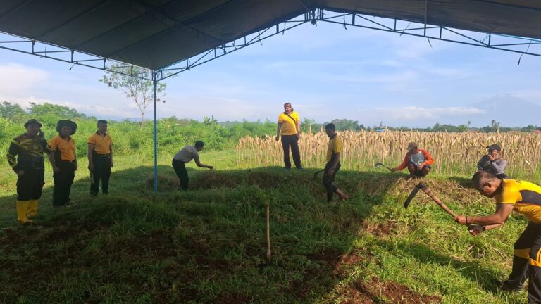 Polsek Luragung Dukung Ketahanan Pangan, Lakukan Monitoring Penyerapan Hasil Panen Jagung