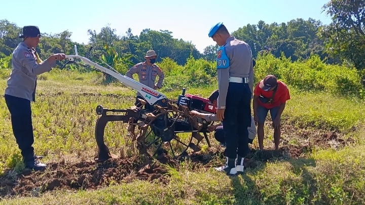 Polsek Ciawigebang Polres Kuningan Bersama Kelompok Tani Cibangbara Desa Mekarjaya Olah Lahan Jagung Hibrida Dukung Program Ketahanan Pangan