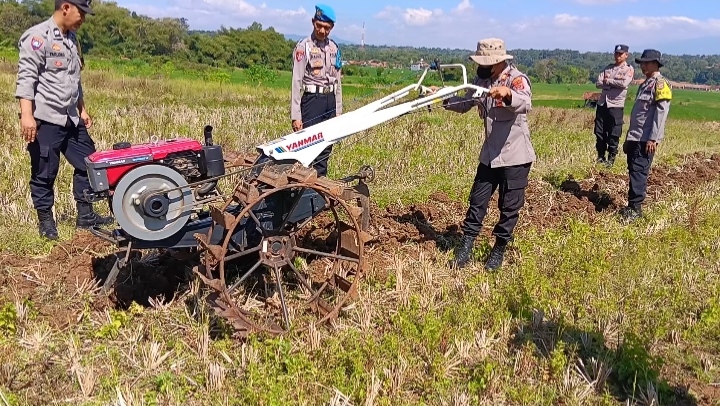 Polri Hadir untuk Ketahanan Pangan, Polsek Ciawigebang Bersama Kelompok Tani Cibangbara Desa Mekarjaya Olah Lahan untuk Tanam Jagung Hibrida