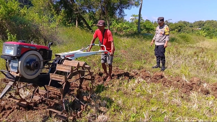 Polsek Ciawigebang Bersama Kelompok Tani Cibangbara Desa Mekarjaya Olah Lahan 1 Hektar untuk Penanaman Jagung Hibrida