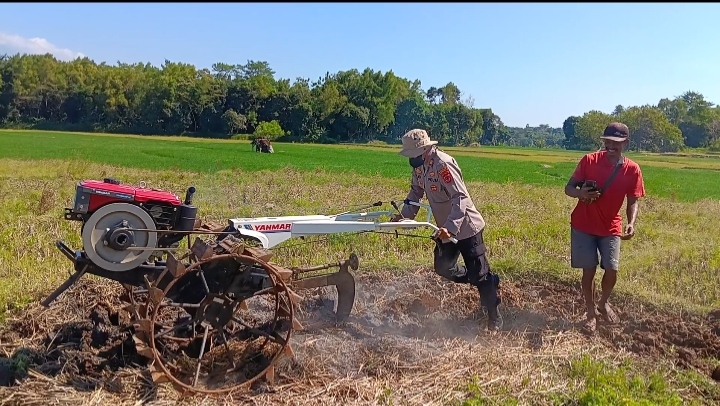 Sinergi Polsek Ciawigebang dan Kelompok Tani Cibangbara Wujudkan Ketahanan Pangan Nasional