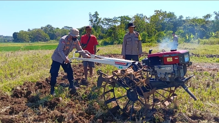 Polsek Ciawigebang Bersama Kelompok Tani Cibangbara Olah Lahan untuk Penanaman Jagung Hibrida Dukung Ketahanan Pangan