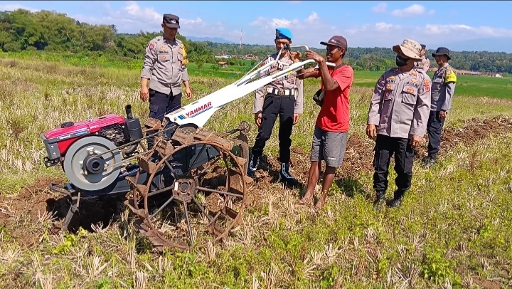 Dukung Ketahanan Pangan, Polsek Ciawigebang dan Kelompok Tani Cibangbara Desa Mekarjaya Olah Lahan untuk Tanam Jagung Hibrida