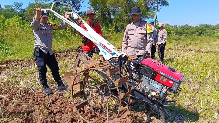 Bersama Kelompok Tani Cibangbara Desa Mekarjaya, Polsek Ciawigebang Optimalkan Lahan Pertanian untuk Jagung Hibrida